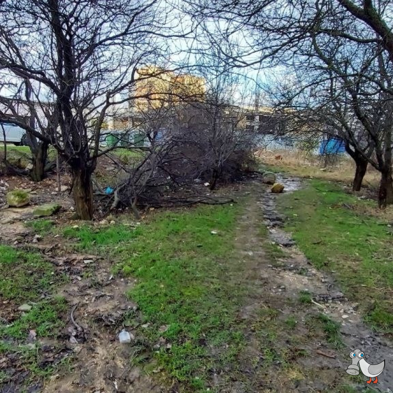 Пр-кт Генерала Острякова, 154. SEVSVALKI.NET