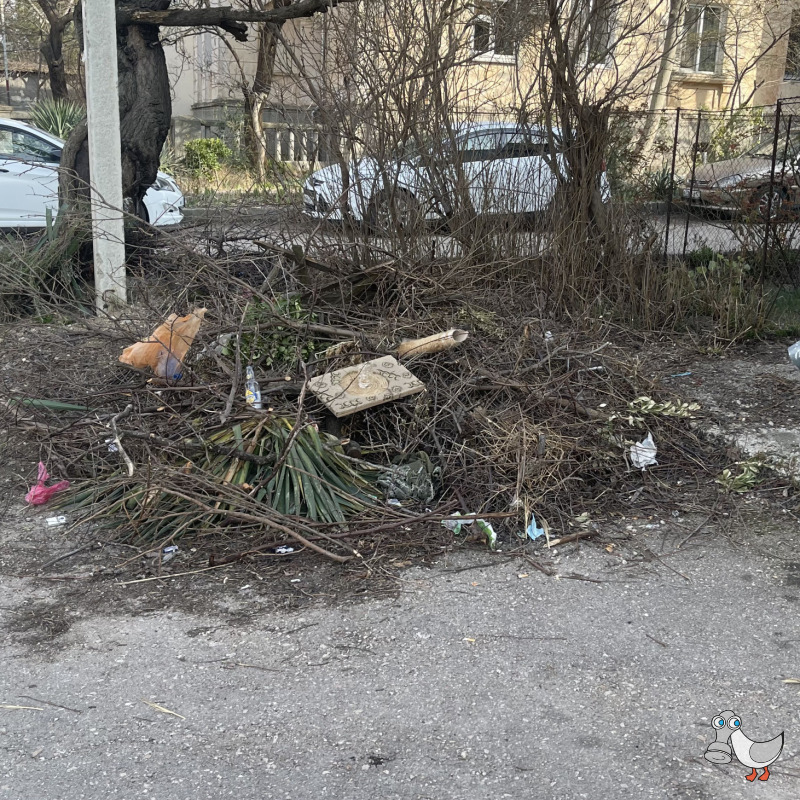 Ул. Супруна, 8. SEVSVALKI.NET
