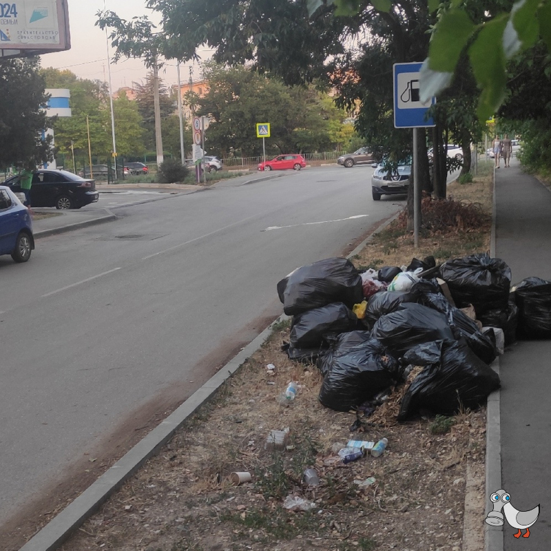 Ул. Соловьёва (Черех дорогу от АЗС). SEVSVALKI.NET