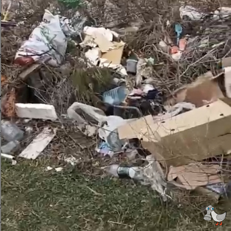 Татьянинская церковь (студгородок). SEVSVALKI.NET