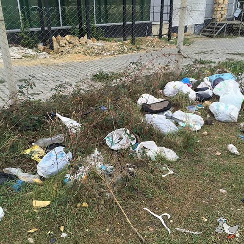Пустырь ниже Славянского базара между ул. Хрусталева и ул. Индустриальной. SEVSVALKI.NET