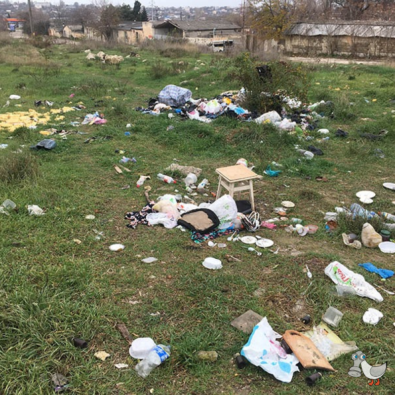 Пустырь ниже Славянского базара между ул. Хрусталева и ул. Индустриальной. SEVSVALKI.NET