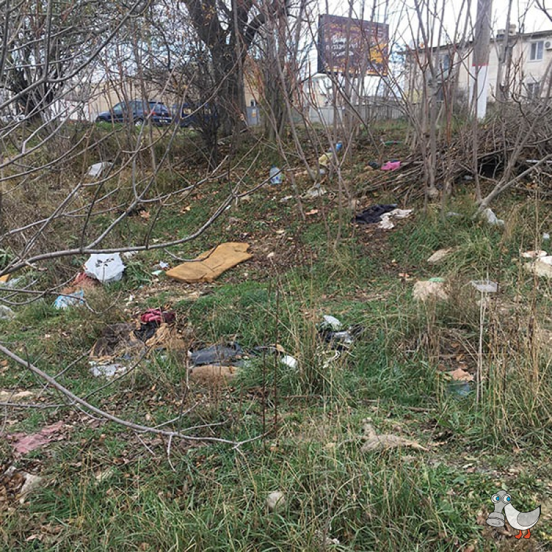 Пустырь ниже Славянского базара между ул. Хрусталева и ул. Индустриальной. SEVSVALKI.NET