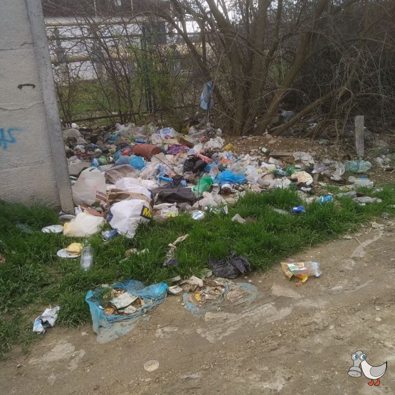 Садовое товарищество Куликово Поле. Переулок в районе дома 93Ак1. SEVSVALKI.NET