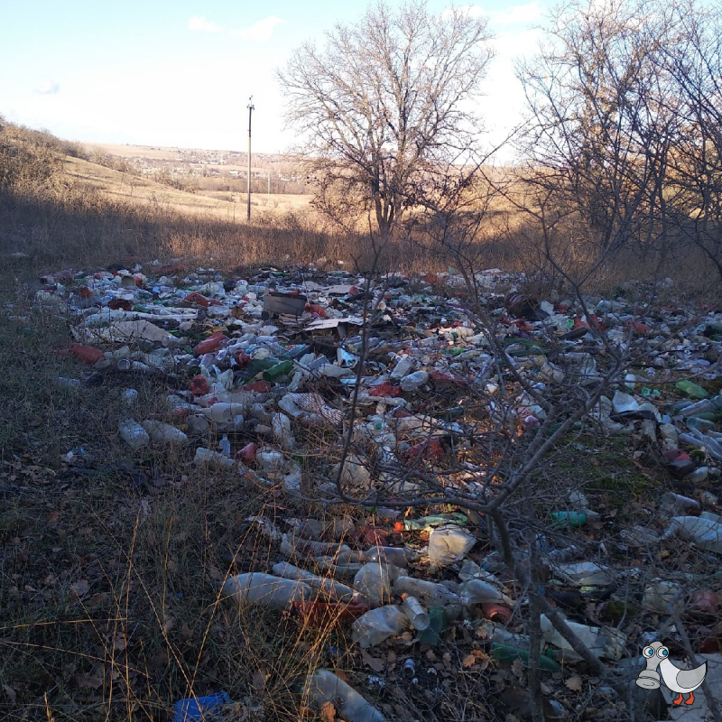 Орловка. Недалеко от моста. SEVSVALKI.NET