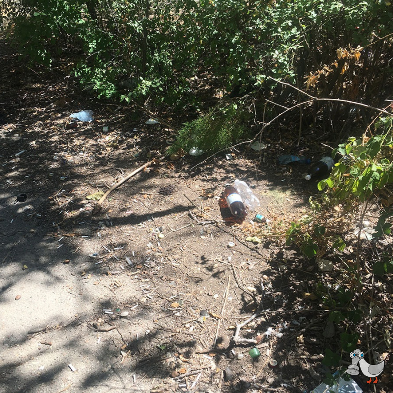 За домом №4 по улице Маршала Геловани. SEVSVALKI.NET