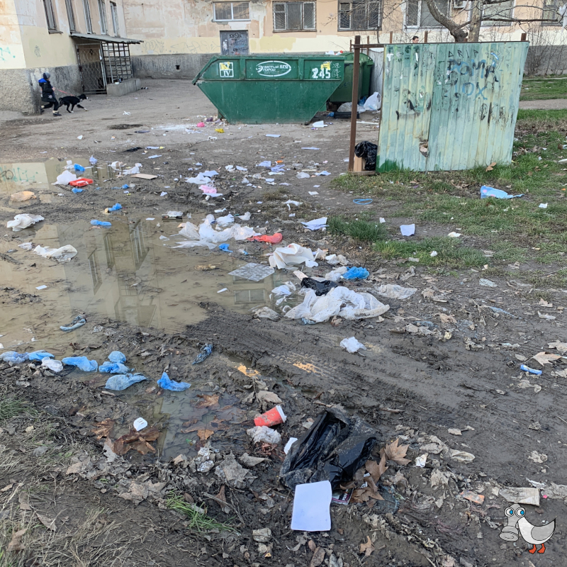 проспект Генерала Острякова, 61к2 (Мусорные контейнеры). SEVSVALKI.NET