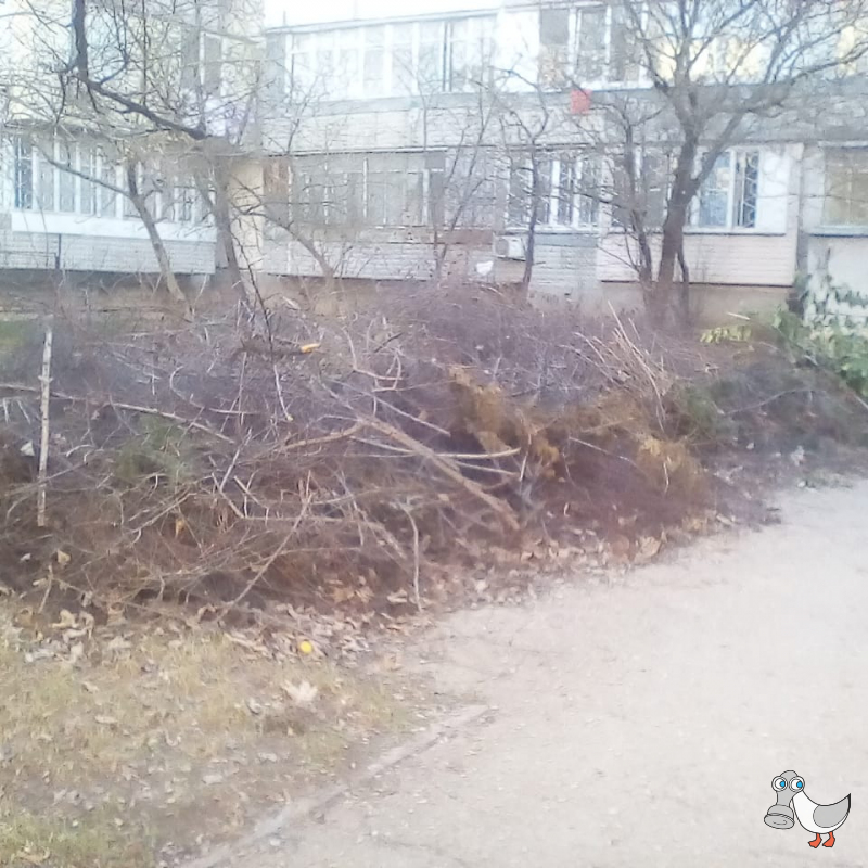 пр-кт Генерала Острякова, д 161, -д165. SEVSVALKI.NET