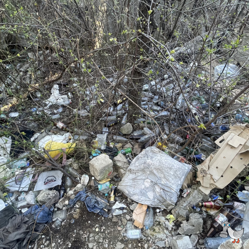 Проспект Генерала Острякова, 152. SEVSVALKI.NET