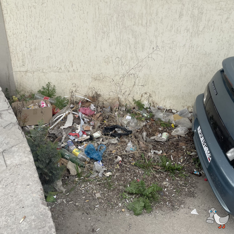 Ул. Пожарова, 16. SEVSVALKI.NET