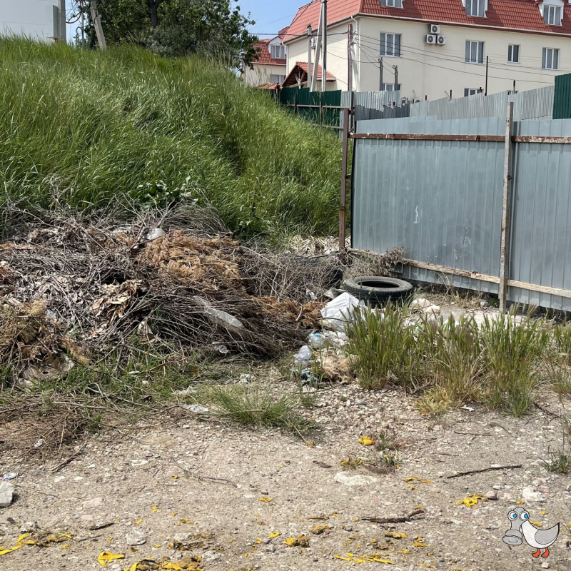 Рядом с Репина, 14. SEVSVALKI.NET